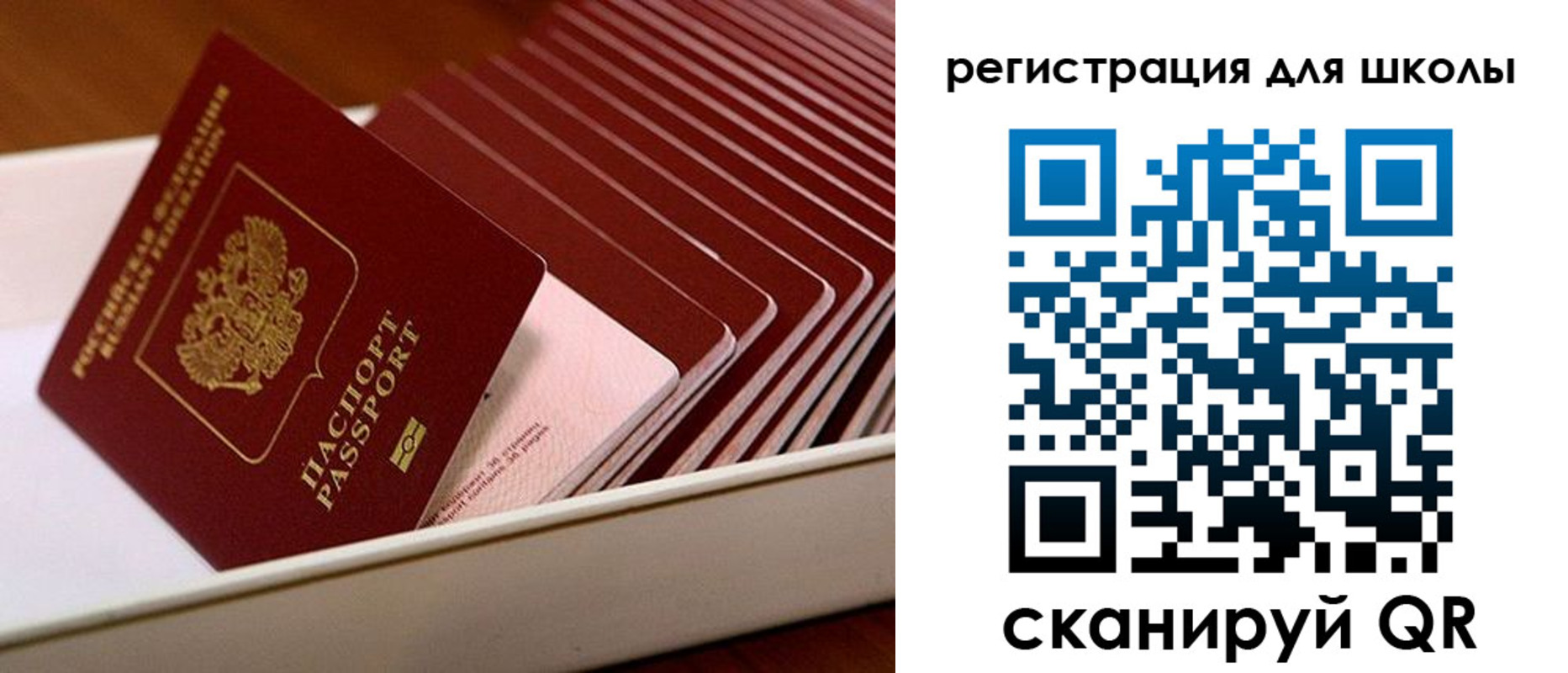 прописка гарантия в Павловске