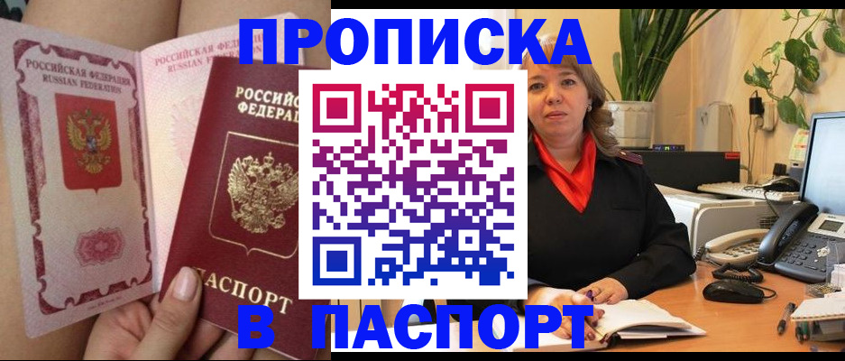 прописка поиск в Павловске